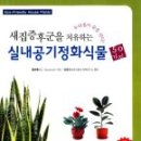 새집증후군을 치유하는 실내공기정화식물 50가지 (B. C. 월버튼) 中 이미지