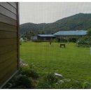 천덕송어 이미지