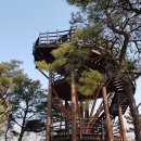 180017 | ^서울둘레길8_3,4_북한산/11.6km/2017.03.03.금/1706