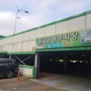 수원-0933 이미지