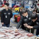 동해-단속-12 이미지