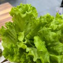 (사)강원특별자치도지체장애인협회 양양군지회 | 양양 고기집 맛집 양양 여행 중에 발견한 현지인 맛집 여여정