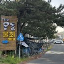 더몽돌물회