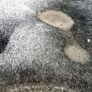 울주 피크닉 콘서트 유월의 밤 이미지