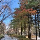 수원팔색길 도란길 | [짬짬이] [수원팔색길] 7차 출정ᆢ251206ᆢ오색길 도란길 완주