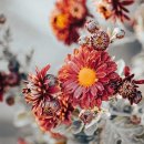 양평그린하운드 골프연습장 이미지