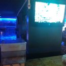 썸피싱카페낚시터 이미지