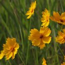 한인터내셔널 이미지