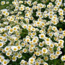 비호태권도장 이미지