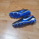 네오엑스 이미지