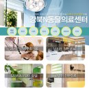 강북 24시 N 동물의료센터 이미지