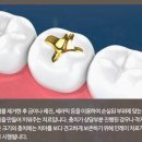 서울본치과의원 이미지