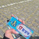 [경주/감포] 경주 오류 캠핑장 카라반 후기
