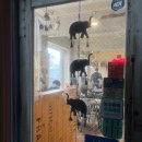 리안차이요리전문점 | 성수역 쌀국수 맛집, 태국요리 전문점 | 마하차이 성수본점