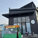 꼬숩당개 이미지