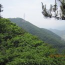 희승농장 네이버블로그