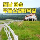 아이세상어린이집(청주리라유치원 중복지정) | 광주근교 가볼만한곳 화순 무등산 양떼목장