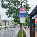 [부산] 금정산(산성고개➟초읍) 산행후기---2026년 7월 5일(일)