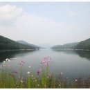 백련낚시터 이미지