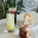 크림푸들 가족이야기 이미지