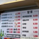 봉구네 라면가게 | [사당] 사당 산오징어 오징어통찜 맛집 청송산오징어 내돈내산 리얼후기, 웨이팅 꿀팁