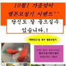 벨톤보청기 네이버블로그