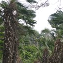 녹색농원 이미지