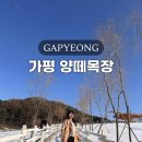 새하얀목장 | 가평양떼목장 입장료 겨울 카페 경기도 가볼만한곳 추천