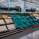 영국 슈퍼마켓, 과일과 채소 부족으로 배급 이미지