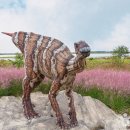 케이메디텍 이미지