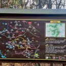 문복로+소호로 이미지