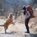 트래블고 여행사 이미지