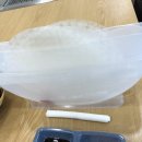 미남장어 이미지