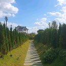 동곡로185번길 이미지