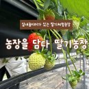 순겸농장 이미지