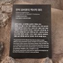 금성장여관 | 1박2일 제주여행 후기 첫날 - 동백동산, 게스트하우스7, 김만덕기념관, 제주4.3 그리고 참치