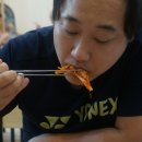 보담왕뽈데기 네이버블로그