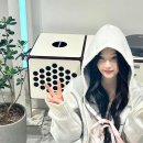 쓰리조이 네이버블로그