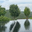 청신산업(주) | 뮤지엄 산 | 안도타다오 | 미리 알고 가면 좋은 정보
