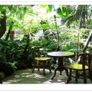 카오카오 이미지