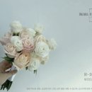 르우엘 네이버블로그
