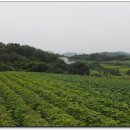 성송초등학교 이미지