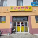 미원반점 | · 경주 감포 밥집 감포반점 :: 현지인 강아지 동반 맛집 중식! 해물 짬뽕부터 짬뽕밥, 바삭한 군만두까지🥟