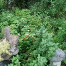 하얀민박 이미지