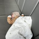 중앙시장(창원중앙시장) | [창원] 진해국밥 진해중앙시장맛집 국밥사령부 현지인 찐 후기