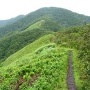 8월 정기산행 장안산 덕산계곡 트레킹 이미지