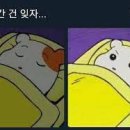 테라모바일 이미지