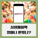 온누리세탁소 | 상생페이백 뜻과 10월 환급 후기 디지털온누리상품권 사용처