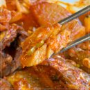 황금코다리 이미지