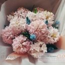 크로비스 이미지